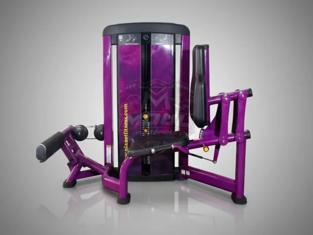 Machine à mollets (Calf Extension)